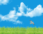 天空