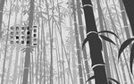竹