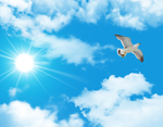 天空