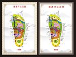 人体穴位图 足底穴位图