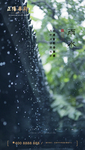 雨水 雨水海报 雨水节气 节气