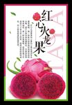 新鲜水果红心火龙果海报水果招贴