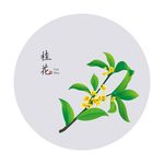桂花