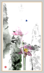 艺术荷花