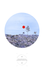 创意挂画