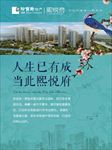 展板 珍宝岛 万达 项目前期
