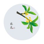 桂花