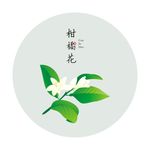 柑橘花