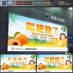 枇杷