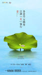 惊蛰 春分 清明 谷雨 立夏
