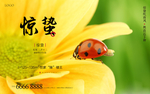 惊蛰