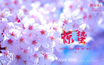 惊蛰 春分 清明 谷雨 立夏