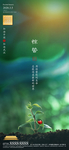 惊蛰