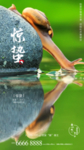 惊蛰 春意