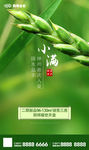 小满
