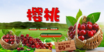 樱桃