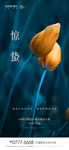 惊蛰 节气 节点 春分