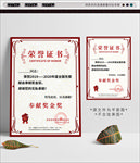 无偿献血证书