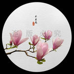 木兰花