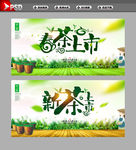 春茶上市