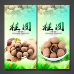 桂圆海报