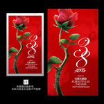 三八 女神节