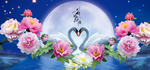 花好月圆