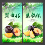 黑布林