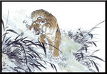 老虎