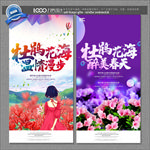 杜鹃花