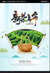 新茶上市