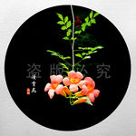凌霄花