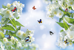美丽花朵蝴蝶蓝天白云吊顶图