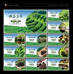 茶叶 茶叶海报 茶