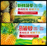 菠萝海报