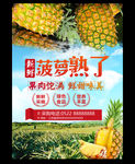 菠萝单页