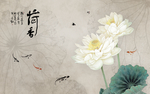 中式荷花图片