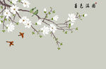 玉兰花