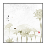 荷花美景