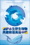 水生野生动物保护科普宣传月海报