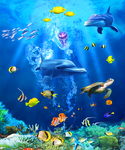 海洋馆