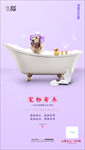 宠物寄养