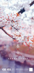 春分