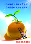 防风险 除隐患 遏事故