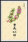 马齿览