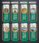 爱国卫生 文化墙