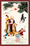老寿星
