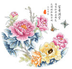 牡丹