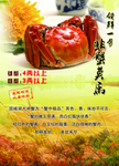 大闸蟹广告