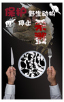 禁食野生动物 保护野生动物